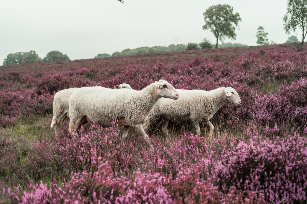 Veluwe Hotel De Beyaerd Hulshorst Dış mekan fotoğraf