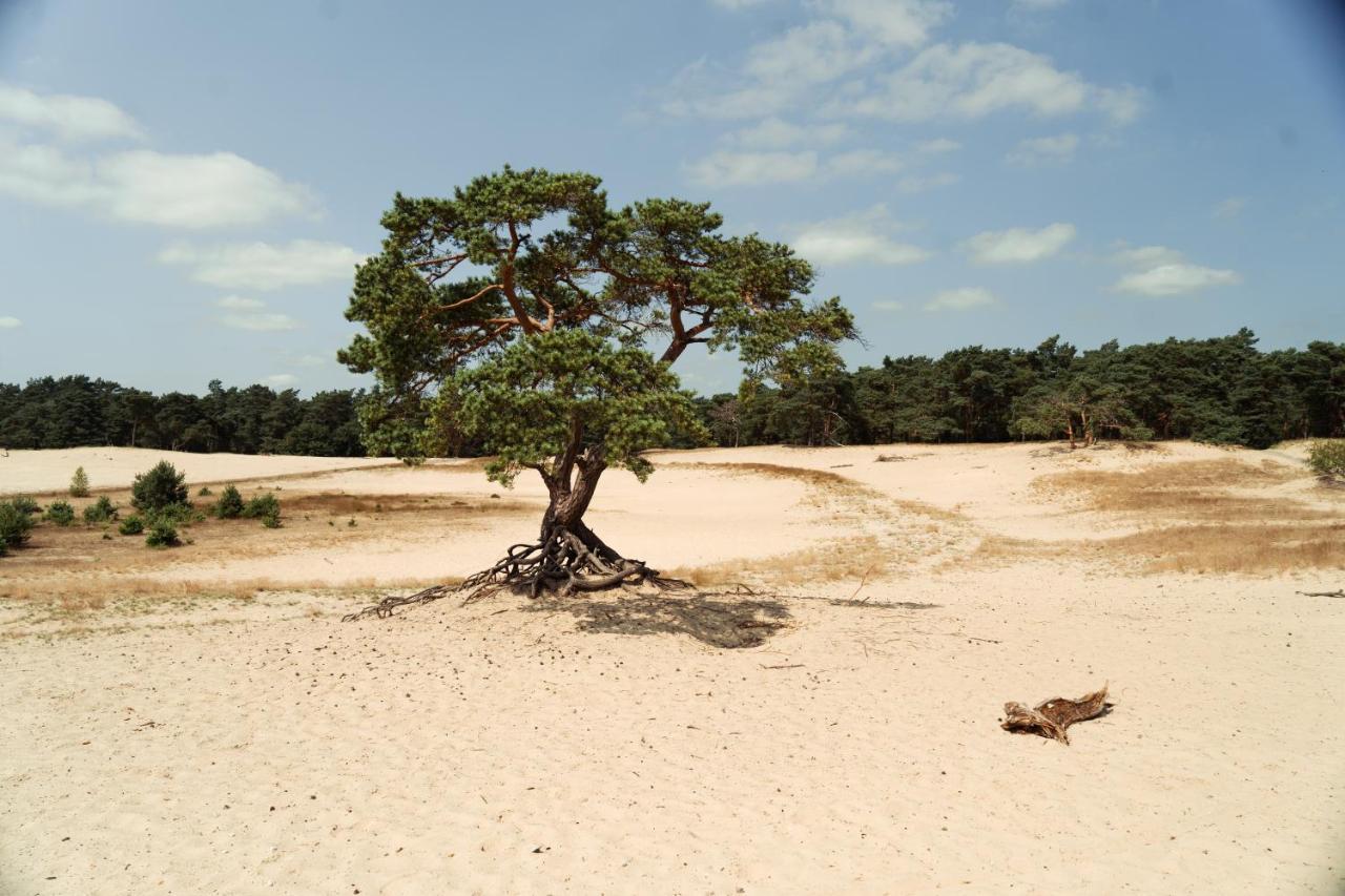 Veluwe Hotel De Beyaerd Hulshorst Dış mekan fotoğraf